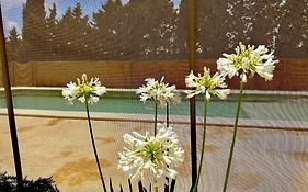 Agradable casa de campo con piscina en la Barrosa