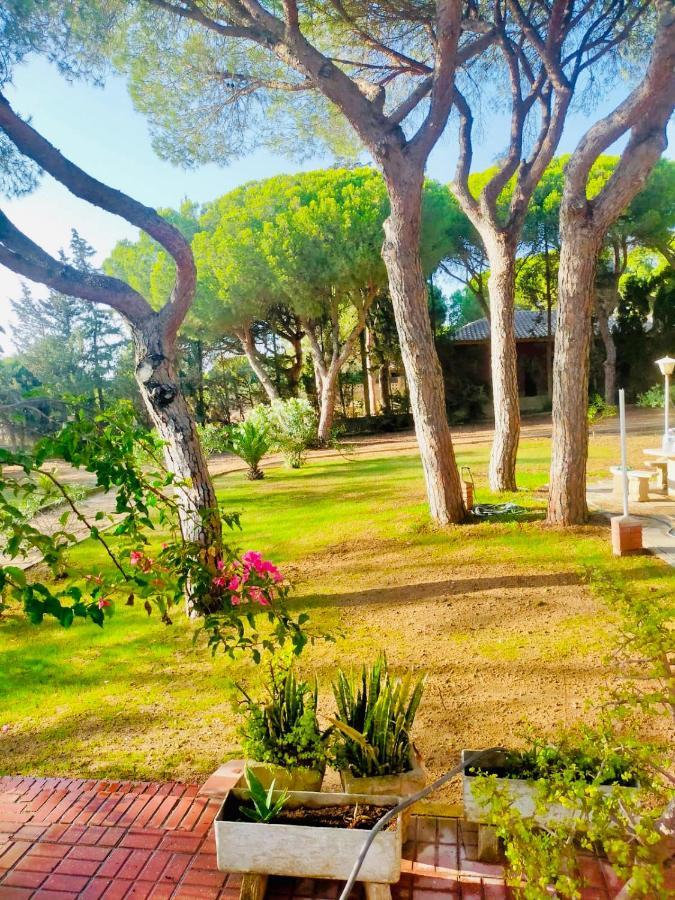 Agradable casa de campo con piscina en la Barrosa Chiclana de la Frontera Exterior foto